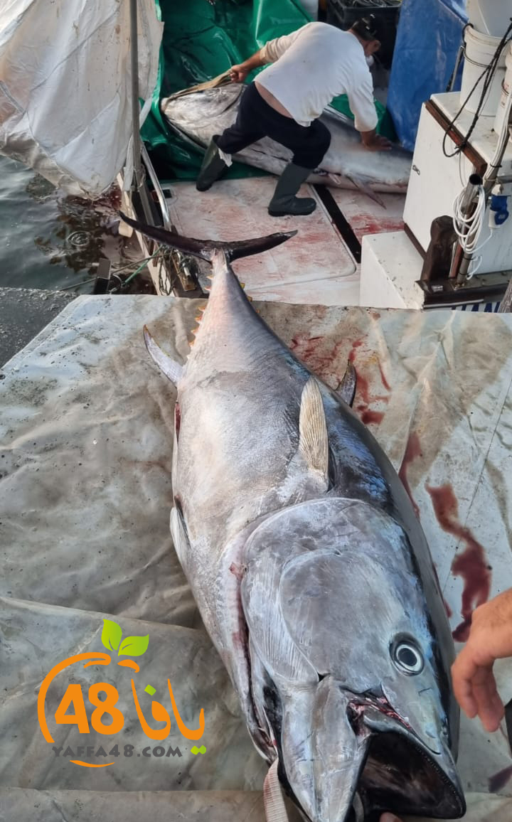 WhatsApp Image 2023-05-23 at 620.19.22.jpg